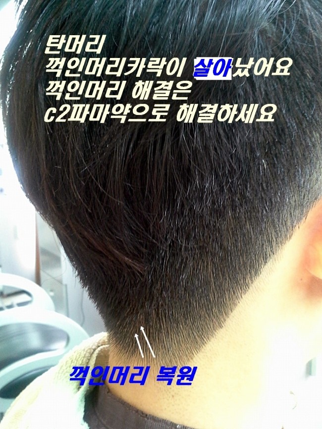 뿌리가 꺽인머리 1분만에 복원이된다 뿌리기만 하면 탄머리 꺽인머리가 복원 상담 사례 이미지