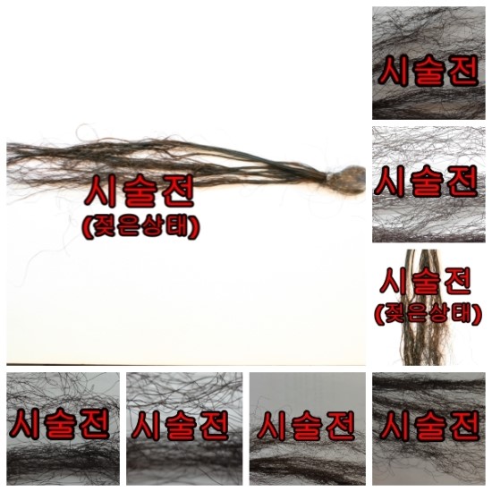 [공유] 탄머리 손상모 복구 테스트 상담 사례 이미지